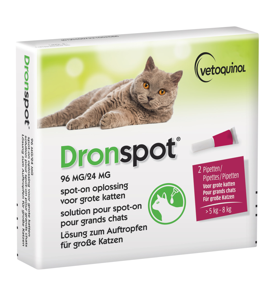 Dronspot spot-on ontwormingspipet kat <br>5 - 8 kg
